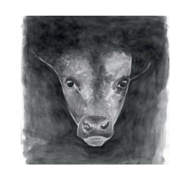 Kälbchen-Kalb-Aquarell-Zeichnnung-schwarz