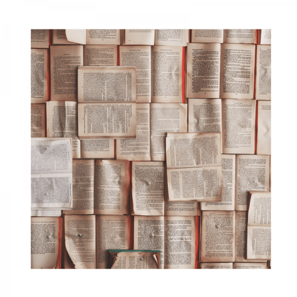 bücherregal-minimalismus-bücher-lesen-aussortieren