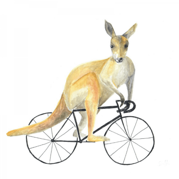 inside-the-scene-standert-kanguru-fahrrad-rennrad-berlin