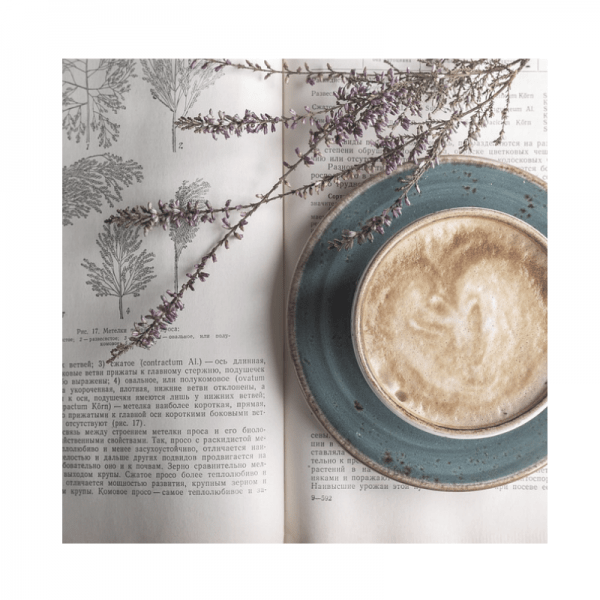 veganismus-lesen-buecher-leseliste-emfpehlungen-vegan