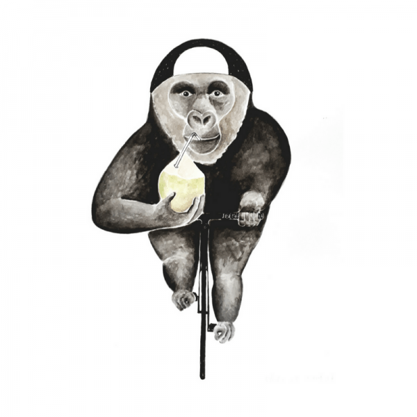 Gorilla-Affe-Fahrrad-Kokusnuss-Rennrad-Vegan