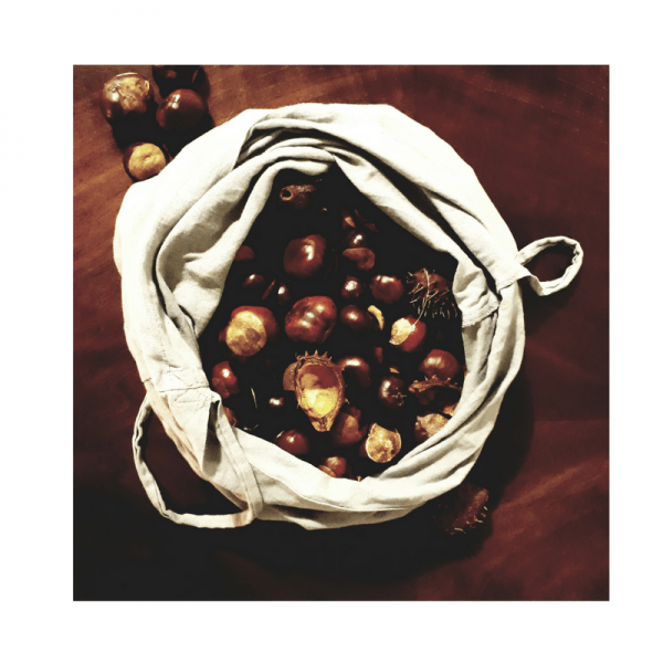 gesammelte Kastanien