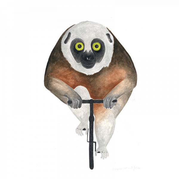 Sifaka-Lemur-Affe-Rennrad-Fahrrad-Tierbild-Aquarell-Illustration
