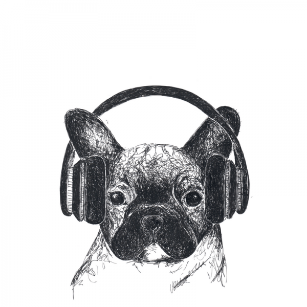 Bulldogge-Welpe-Köpfhörer-Musik-hören-Illustration-Zeichnung