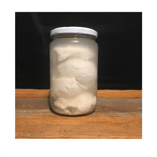 veganer-mozzarella-cashew-selbst-gemacht