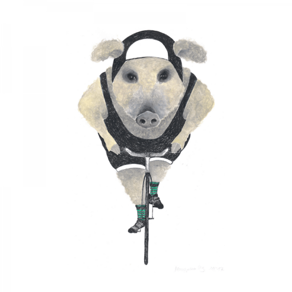 wollschwein-schwein-film-vegan-fahrrad-rennrad